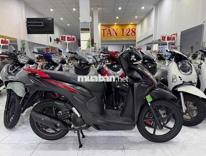 VISION 2023 - Zin Cọp - Bản Bánh Lớb