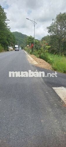 Bán Đất mặt tiền 45m mimosa Đà Lạt Lâm Đồng đất nông nghiệp TMDV