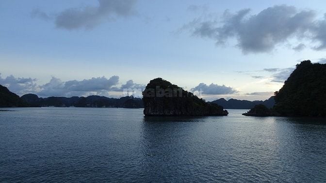 Cần mua đàn piano Yamaha hoăc Kawai cũ