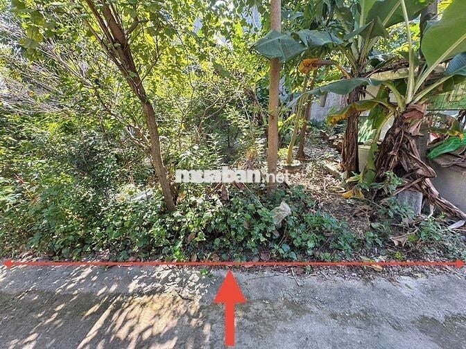 Đất vàng Mê Linh. Cách chợ, sân bóng Chi Đông 80m. Tiện ích bạt ngàn.