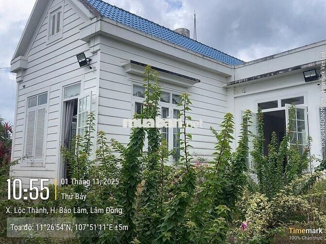 Homestay nhà vườn DT 7317,6m2 (37x137m) sẵn 200m thổ cư - đường oto