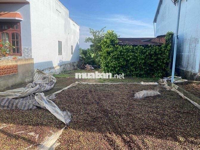 🔥 BÁN GẤP LÔ ĐẤT LỘC THÀNH – GẦN ĐÈO SĂN MÂY | GIÁ CHỈ 820TR