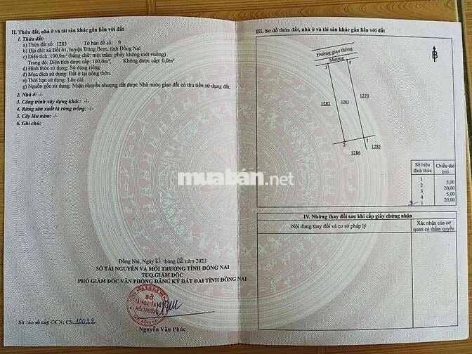 Đất nền An Viễn (xã Đồi cũ) 850 triệu 100m2 1 sẹc ĐT 777 sổ riêng thổ