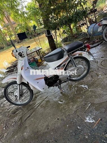 Honda Siêu cúp 50cc màu Trắng