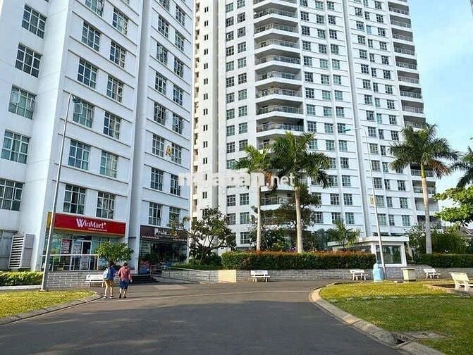 Bán chung cư căn góc tại chung cư Hoàng Anh Thanh Bình