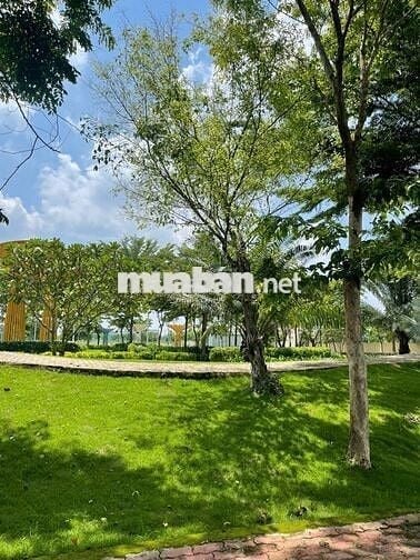 🏡 BÁN ĐẤT MẶT TIỀN TRUNG TÂM BÀU BÀNG, BÌNH DƯƠNG 3 TỶ 2