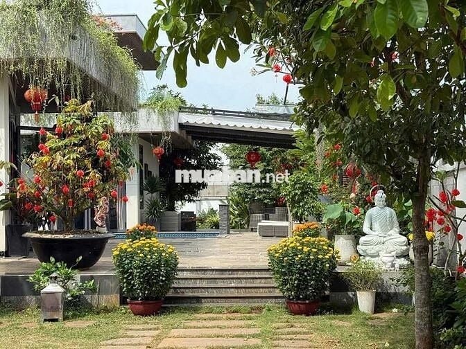 BÁN/CHO THUÊ BIỆT THỰ 1200m2– AN HẠ, BÌNH CHÁNH (GẦN CẦU XÁNG)