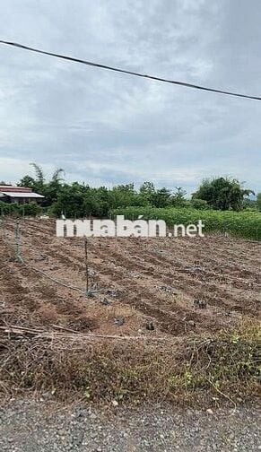 2 lô đất giá tốt,có sẵn thổ cư: 362 m2 +100m2 ONT và 932 m2 +100m2 ONT