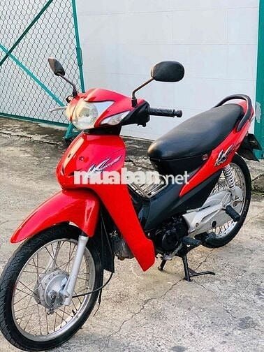 wave xương cá biển tp