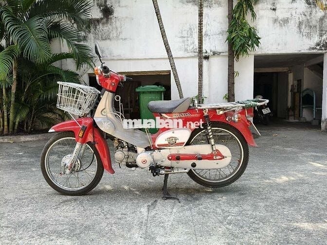 Cub đèn tròn, chính chủ