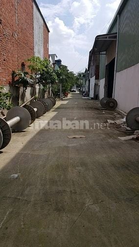 Nhà xưởng cao ráo cần cho thuê ở Vĩnh Lộc B Bình Chánh