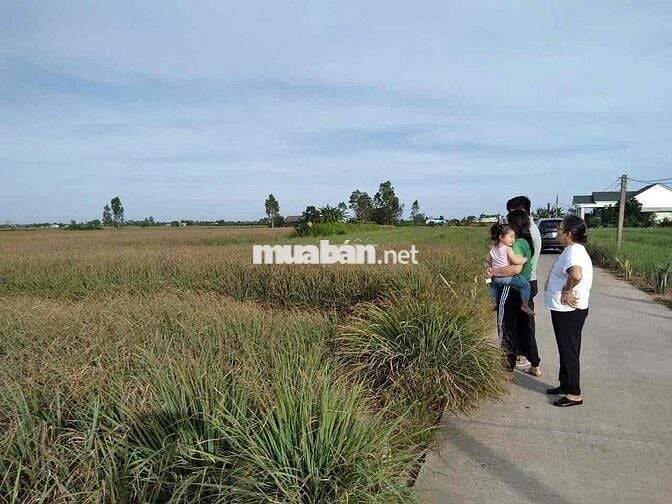 Đất Tân Phú Đông - Minh đường tụ thuỷ