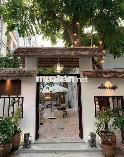 Biệt thự sân vườn sang trọng Quận 3 – Không gian cực chill SD ~ 1000m2