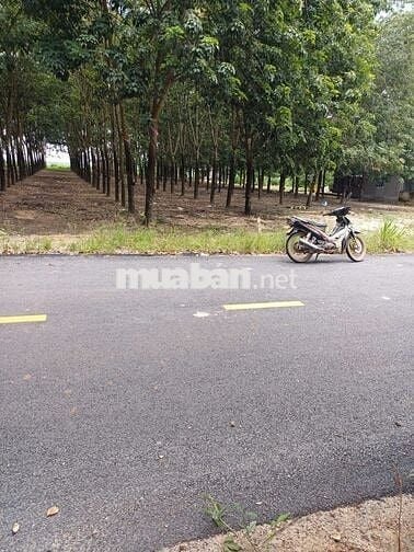 Chính chủ cần bán lô đất mặt tiền đường Tân Định 37, Bắc Tân Uyên, BD