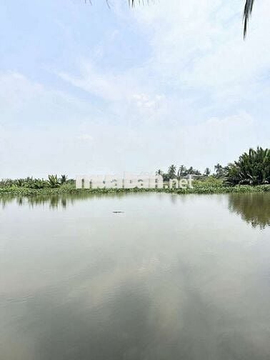 1000m2 VIEW SÔNG 599 Triệu Sổ Sẵn, đường Ô Tô, Nền Cao. về HCM 25p