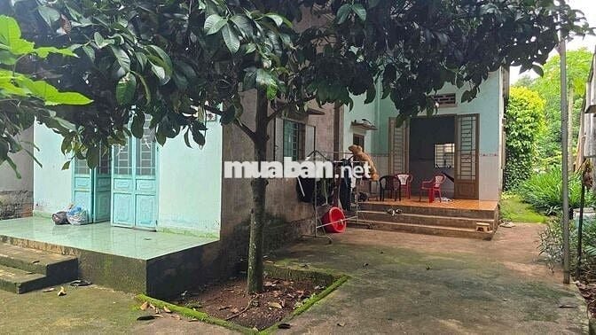 Bán đất xây nhà vườn tặng kèm căn nhà cấp 4 cách DH chỉ 3p