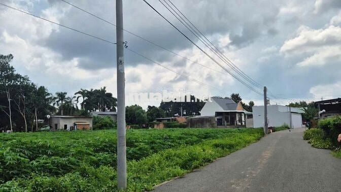 Cô Tư cần tiền sang nhanh lô đất ngộp MT DH519 Phú Giáo BÌnh Dương