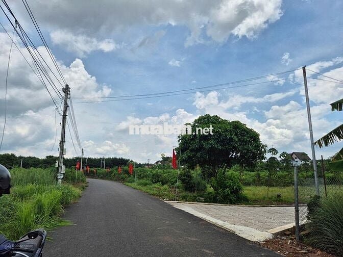 Cần sang lại giá rẻ 250m2 đất MT trục đường DH kinh doanh tốt, SHR