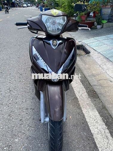 Shark biểnTP nguyênzin