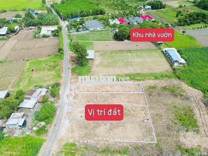 🏡 4 LÔ NHÀ VƯỜN ĐẸP NGAY ĐƯỜNG NGUYỄN HUỆ – XÃ ĐẤT ĐỎ