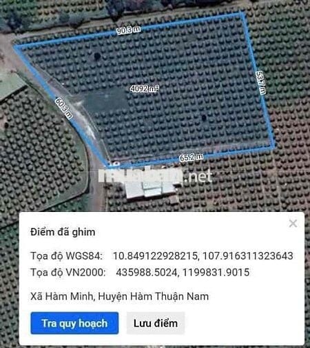 Bán Đất Hàm Minh 4000m2 - Cách QL1A 1km - Cách Phan Thiết 25km