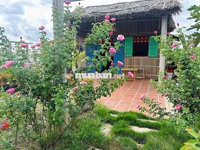 Đất vườn (70*52m)- 300m thổ - sát đường lớn