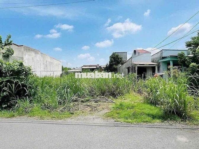 Rẻ như cho 1 lô đất mt nhựa thông ra DH vuông vứt 200m2 SHR