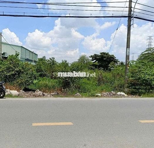 BÁN GẤP NGAY LÔ ĐẤT THỔ CƯ 341M2 – NGỘP 790TR, TÂN THÔNG HỘI, CỦ CHI