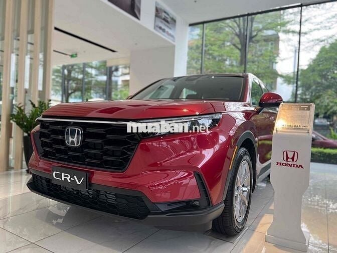 CRV L lăn bánh tỉnh 1.120 chưa Bh, ngân hàng bao