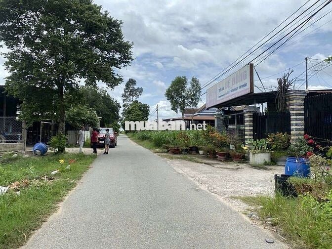 Bán đất mặt tiền Hố Bò. Dt 1154m2. Giá rât cần bán