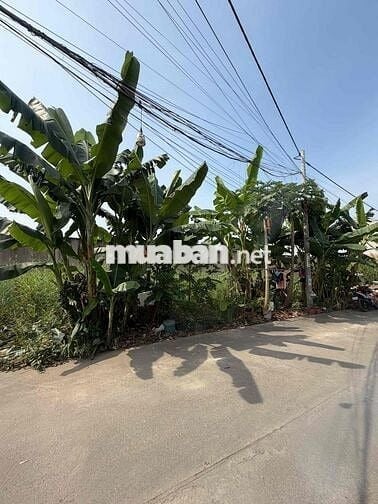 bán lô đất long thới giá rẻ bất ngờ -nhà bè