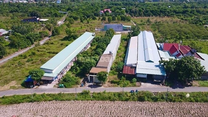 🏡 CHÍNH CHỦ BÁN GẤP – VÀI NỀN 65m² FULL THỔ  – GIÁ CHỈ 395 TRIỆU/NỀN