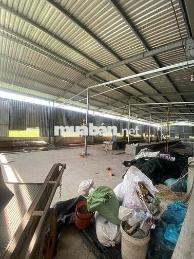 CHO THUÊ KHO XƯỞNG 10x30 - 15TRIỆU - LỢP KÍN TÔN TẤT CẢ - XA DÂN CƯ