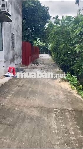 Lô đất 611m cách ủy ban phường Thuận An 500m