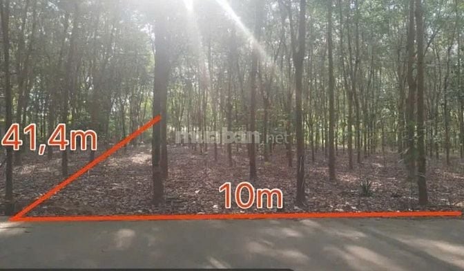 Công ty Đấu giá hợp danh Lam Sơn Sài Gòn THÔNG BÁO ĐẤU GIÁ TÀI SẢN