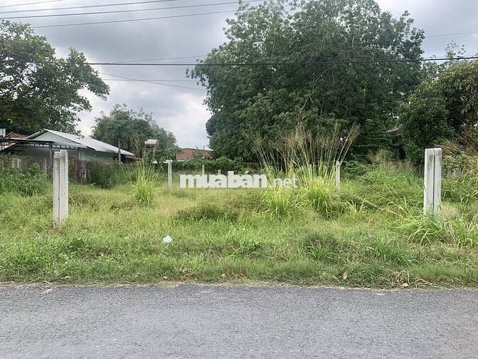 CẦN BÁN ĐẤT THỔ CƯ 133M2 NGAY KDC (HÀNG HIẾM)