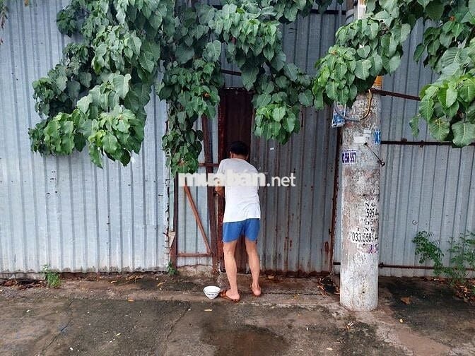 CẦN BÁN GẤP LÔ ĐẤT MẶT TIỀN ĐƯỜNG CHUYÊN DÙNG CHÍNH