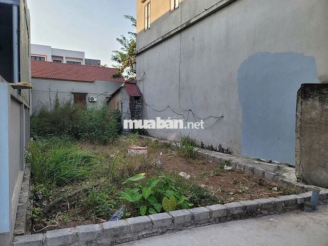 📣 ĐẤT NGAY VÀNH ĐAI 4 – Xâm Động, Thường Tín – Hà Nội