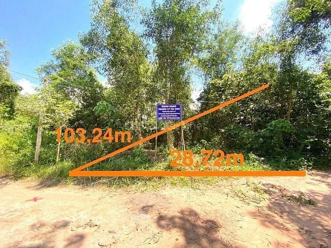 Công ty Đấu giá hợp danh Lam Sơn Sài Gòn THÔNG BÁO ĐẤU GIÁ TÀI SẢN