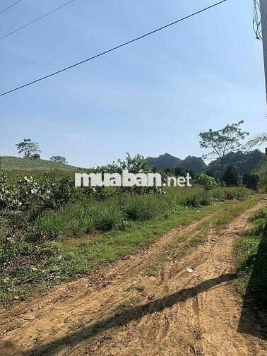 đất mặt tiền quốc lộ 25 cách Hà Nội 2 tiếng