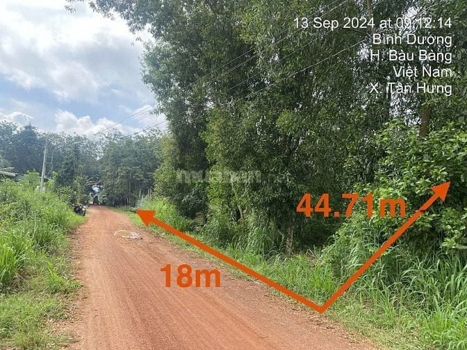 Công ty Đấu giá hợp danh Lam Sơn Sài Gòn THÔNG BÁO ĐẤU GIÁ TÀI SẢN