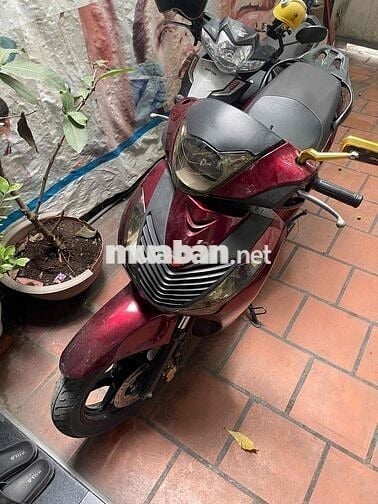 cần bán xe sh ý 2008 lên áo 2010 xe đang đi sử dun