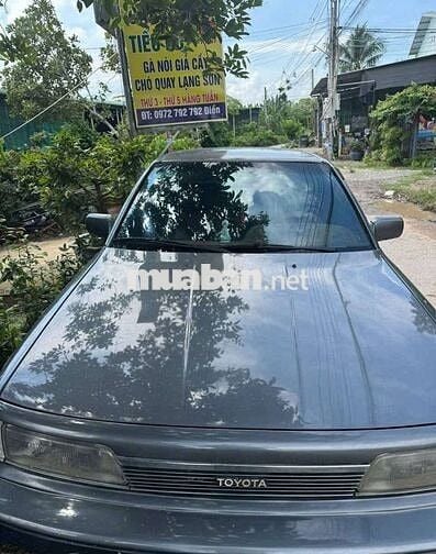 Toyota Camry 1989 màu Xám