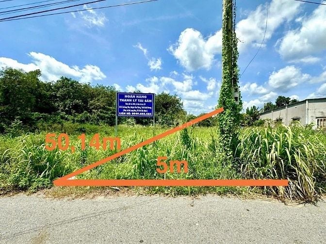 Công ty Đấu giá hợp danh Lam Sơn Sài Gòn THÔNG BÁO ĐẤU GIÁ TÀI SẢN