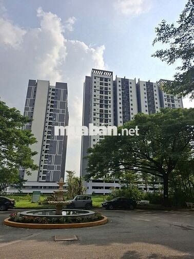 Gấp gấp, làm ăn thua lỗ chủ nhà cần bán căn 2pn,2wc tại Tòa C EcoXuân