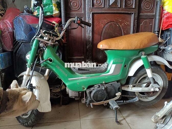 Không xử dụng cần bán gấp cho trồng nhà