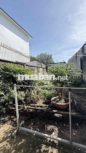 HÀNG MỚI  chủ gởi  BÁN LÔ ĐẤT TẶNG LUÔN CĂN NHÀ  ĐƯỜNG TAM ĐÔNG 1 Xã T