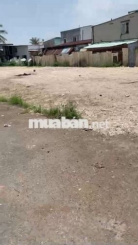 Cho thuê đất và nhà Phường An Phú Đông, Quận 12