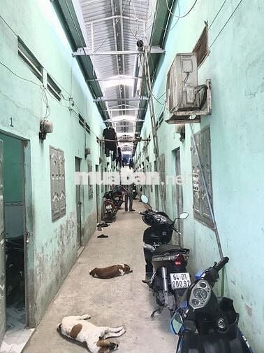 Cho thuê kiot ở và bán tạp hóa Xã hội nghĩa, TP.Tân Uyên, Bình Dương