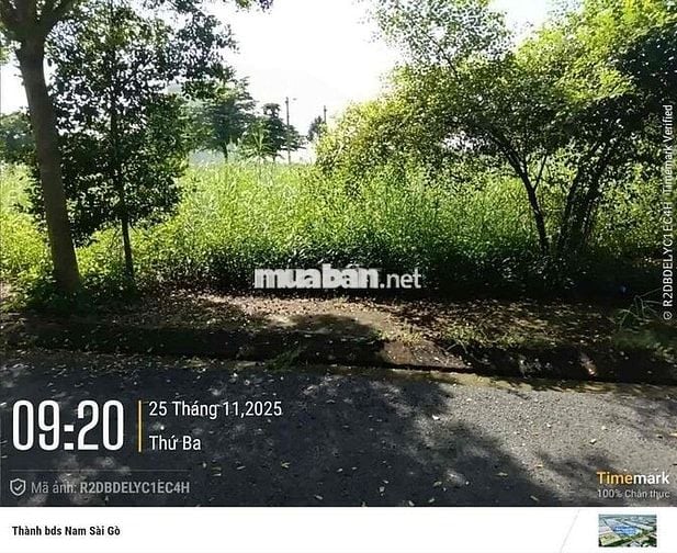 Đất Nền Long Hậu. Mua Bán ký gửi nhà đất